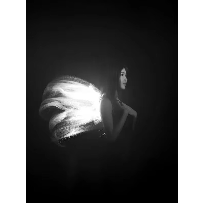 LLP light brush module light d - Photography Lighting Guides review and price