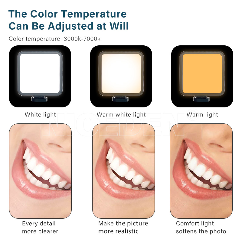 Niceden Dental portable Flash  - Photography Lighting With Flash review and price