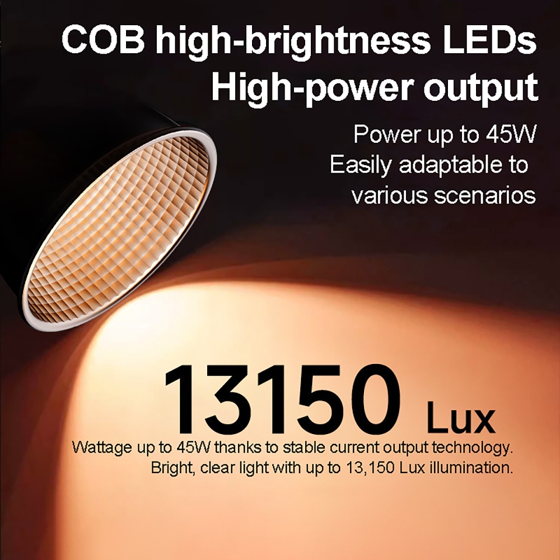 60W RGB Video Light Portable L - Photography Lighting And Background review and price